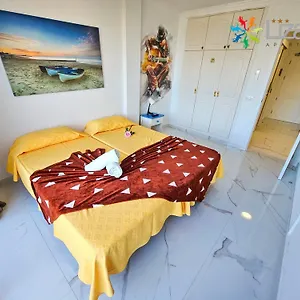 https://7lizards-ocean-view-apartments.in-canary-islands.com